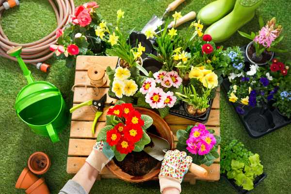植物怕冷，只知道抱进室内就完了？_https://www.huii.cc_多肉植物_第1张
