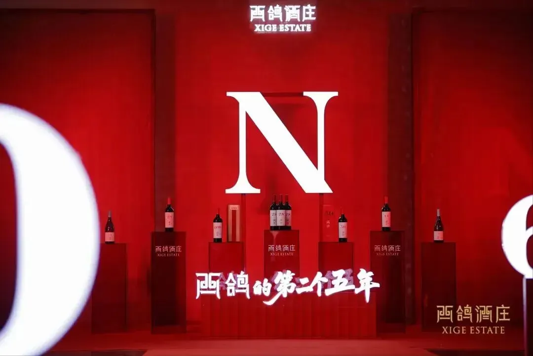 行情下行再获亿元融资,西鸽凭什么?