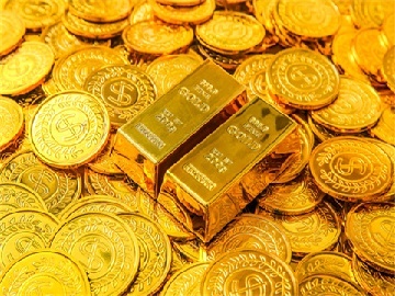 宇树王兴兴的高考报考建议，一场火爆的启示